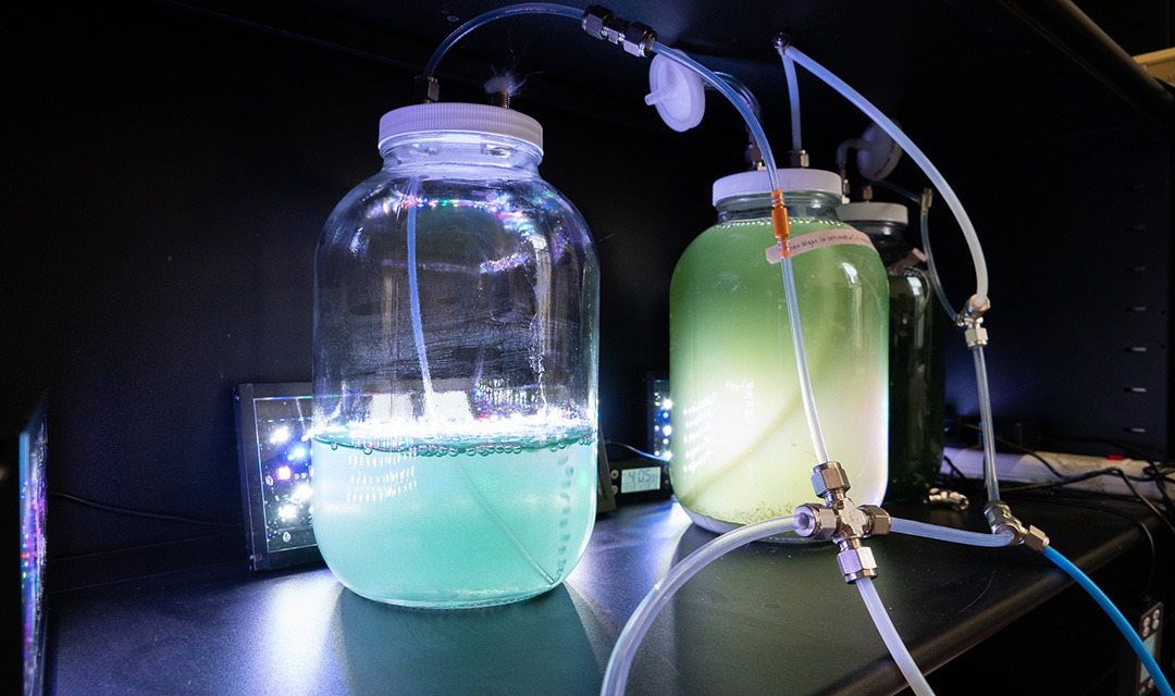 One glass jar half full of murky turquoise liquid next to a second glass jar full of murky green liquid, both illuminated from behind and connected to small tubes
