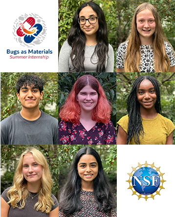 composite of Bugs as Materials logo, 7 intern headshots, and National Science Foundation logo